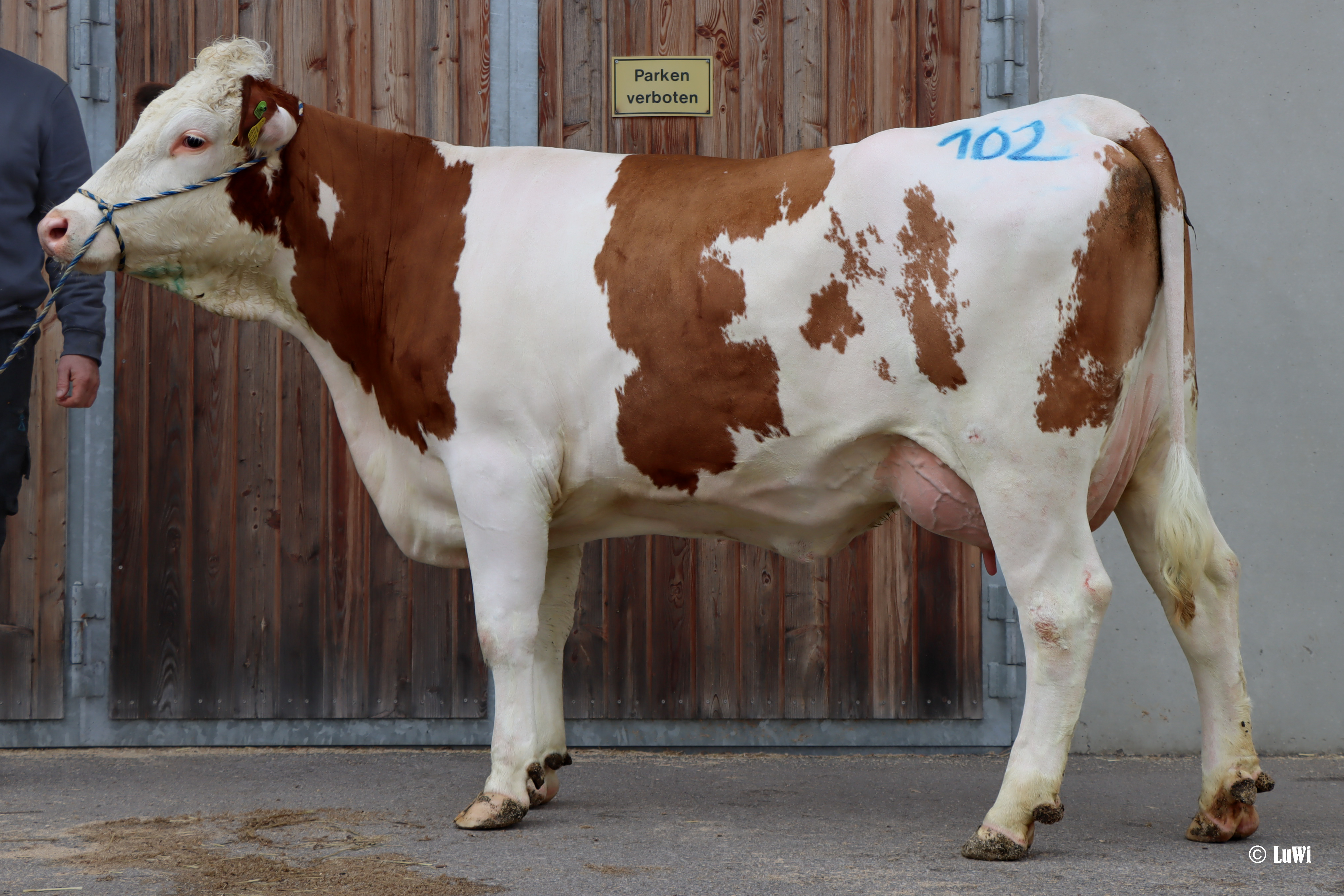 Nummer 102
